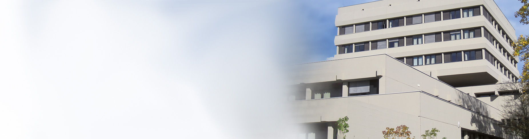 KEIM Concretal®-W
